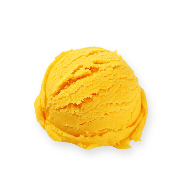 Passion Fruit Sorbet - 4L